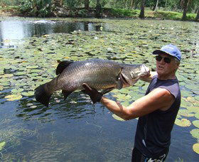 Barra Feeding - Perths Hotel 0