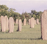 Magnetic Termite Mounds - Perths Hotel