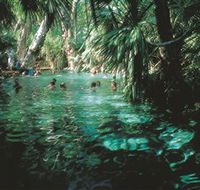Mataranka Thermal Pool