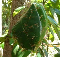 Greenant Creek Walk - Perths Hotel