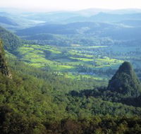 Springbrook Plateau Springbrook National Park - Perths Hotel