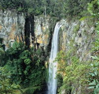 Gondwana Rainforests of Australia - Perths Hotel
