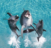 Sea World - Perths Hotel