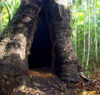 Tewantin National Park