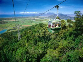 Skyrail Rainforest Cableway - Perths Hotel 0
