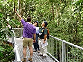 Daintree Discovery Centre - Perths Hotel 0