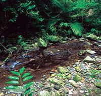 Wompoo Walk - Perths Hotel