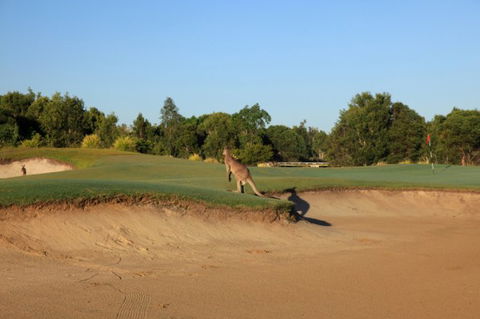 Pelican Waters Golf Club - Perths Hotel 6