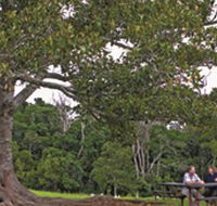 Ravensbourne National Park - Perths Hotel