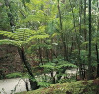 Fraser Island Great Walk - Perths Hotel
