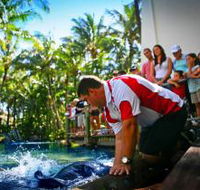 The Living Reef on Daydream Island - Perths Hotel