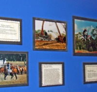 Town Hall Photographic Display