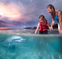 Tangalooma Island Resort