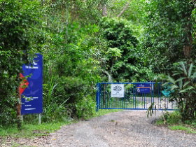 The Bat Hospital Visitor Centre - Perths Hotel 0