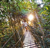 Tree Top Walkway - Perths Hotel