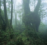 West Canungra Creek Circuit - Perths Hotel