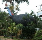The Big Cassowary - Perths Hotel