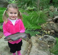 Wild Food Farm  Cafe - Perths Hotel