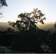 Yarra Flats - Perths Hotel