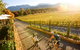 Boyntons Feathertop Winery - thumb 0