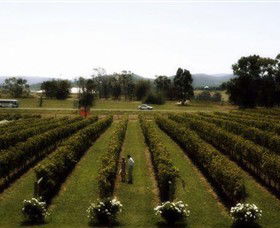 Rochford Wines - Perths Hotel 0