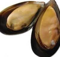 Sea Bounty - Perths Hotel