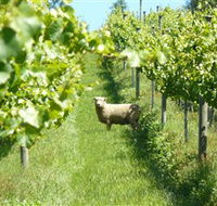 Passing Clouds - Perths Hotel