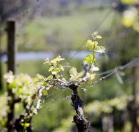 Lindemans Karadoc Winery - Perths Hotel