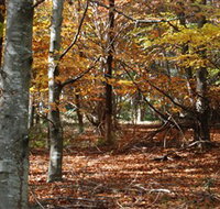 RJ Hamer Arboretum - Perths Hotel