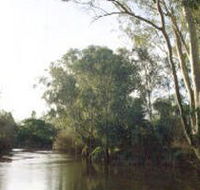 Banksia Park - Perths Hotel