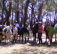 Bellarine Horse Riding Centre - Perths Hotel