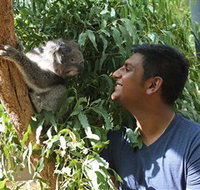 Healesville Sanctuary - Perths Hotel