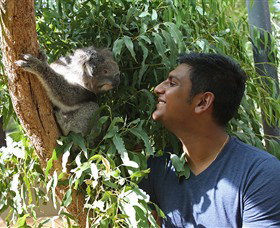 Healesville Sanctuary - Perths Hotel 0