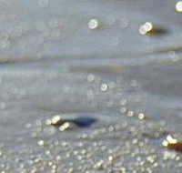 Cape Liptrap Coastal Park - Perths Hotel