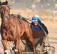 Ballarat  District Trotting Club - Perths Hotel