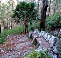 Wodi Wodi Walking Track - Perths Hotel