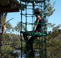 Trees Adventure Shoalhaven - Perths Hotel