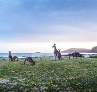 Pebbly Beach - Perths Hotel