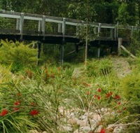 Eurobodalla Botanic Gardens - Perths Hotel