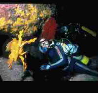 Solitary Islands Marine Park - Perths Hotel