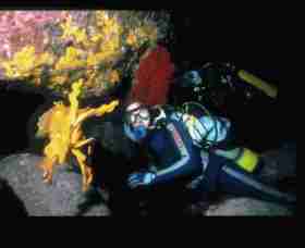 Solitary Islands Marine Park - Perths Hotel 0