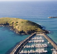 Muttonbird Island Nature Reserve - Perths Hotel