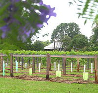 Douglas Vale Historic Homestead  Vineyard - Perths Hotel