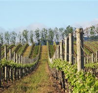 Philip Shaw Wines - Perths Hotel