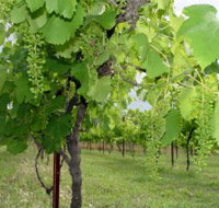 Holland Wines - Perths Hotel