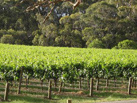 Top Note Vineyard - Perths Hotel 2