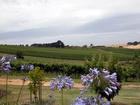 Mount Jagged Wines - Perths Hotel 1