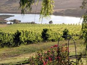 Mount Jagged Wines - Perths Hotel 2