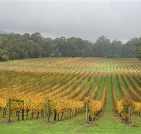 Boat O'Craigo Wines - Perths Hotel