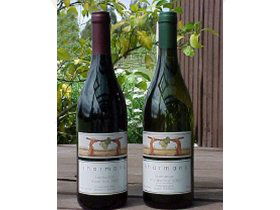 North Esk River Vineyard - Perths Hotel 0